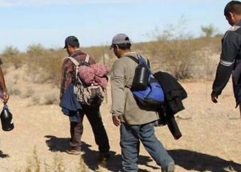  A México le ha faltado negociar más con el gobierno de Biden para crear nuevas alianzas sobre migración: Guillén