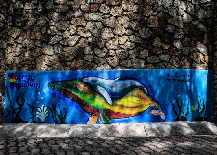 MEX1124. ACAPULCO (MÉXICO), 25/07/2023.- Fotografía de un mural pintado por niños con síndrome de Down durante su develación hoy, dentro del Parque Papagayo en el balneario de Acapulco (México). Niños mexicanos con síndrome de Down exhibieron este martes murales pintados por ellos mismos en la ciudad costera de Acapulco para crear consciencia sobre la discapacidad y como parte de una nueva terapia. EFE/David Guzmán