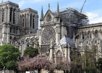 Continúa la reconstrucción de la Catedral de Notre Dame