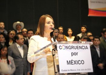 La dirigencia nacional del PRI solo ve sus intereses personales: Mayorga 