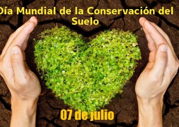 Día Internacional de la Conservación del Suelo