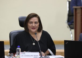 El INE tiene entre sus principios rectores la máxima publicidad: Taddei Zavala