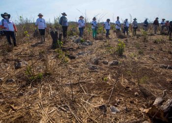Van 16 fosas y 27 restos humanos mutilados encontrados en Tamaulipas: Ñeco