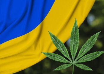 Con esta finalidad Ucrania legalizó el uso del cannabis