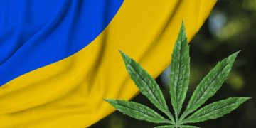 Con esta finalidad Ucrania legalizó el uso del cannabis