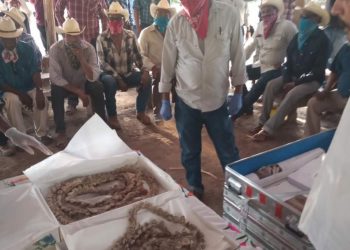 México repatria 24 piezas arqueológicas que se encontraban en Suecia 