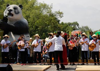 Así comenzaron los festejos por los 100 años del Zoológico de Chapultepec y seguirán, te contamos  