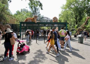 Zoológico de Chapultepec celebrará sus 100 años 