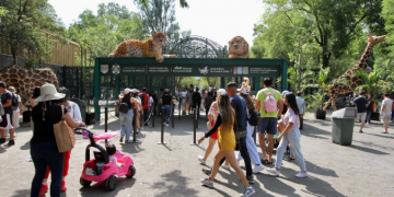 Zoológico de Chapultepec celebrará sus 100 años 