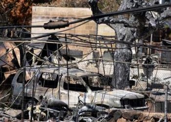 Asciende a 101 la cifra de fallecidos por incendios en Hawái