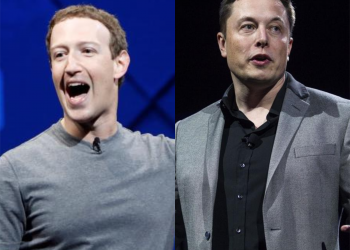¡Pelea, pelea, pelea! Trasmitirán el combate entre Musk y Zuckerberg