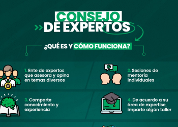 Lo que se debe saber del Consejo de Expertos de la FMF