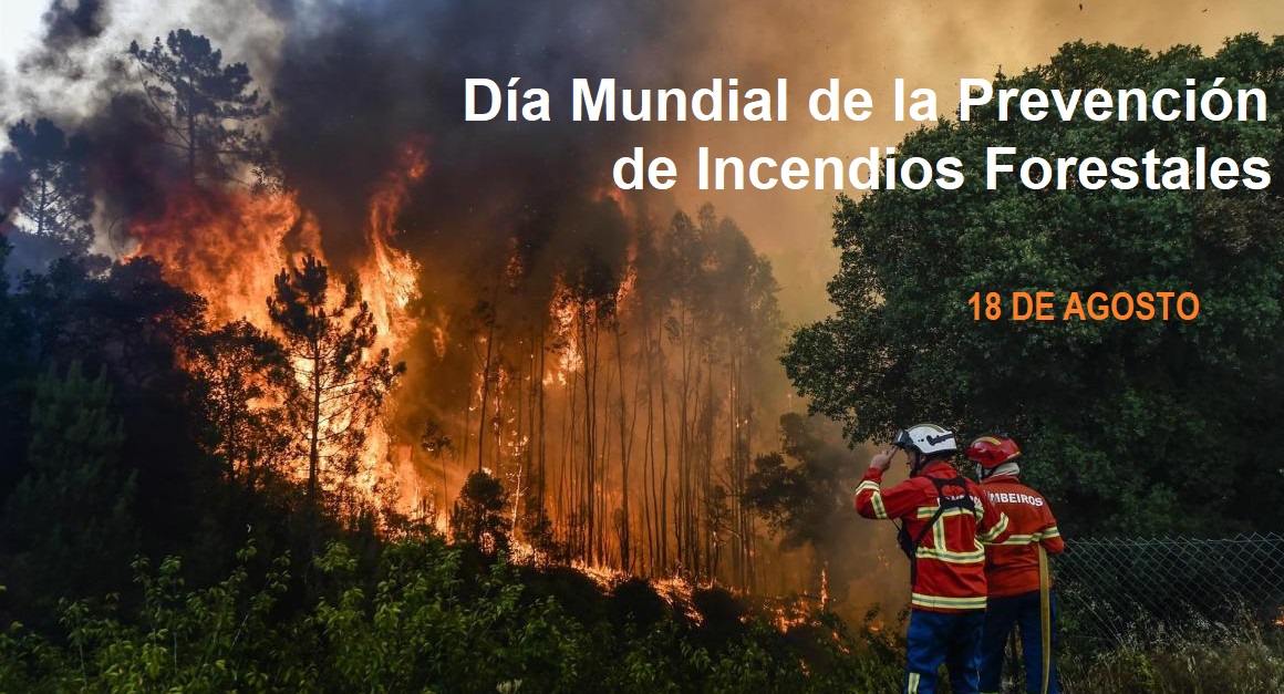 Día Mundial de la Prevención de Incendios Forestales Enfoque Noticias