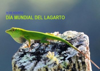 Día Mundial del Lagarto