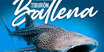 Día Internacional del Tiburón Ballena