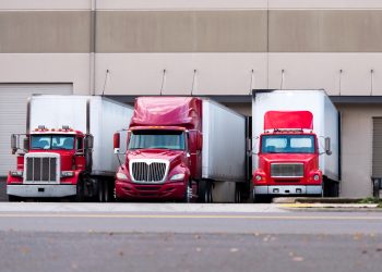 Industria del transporte de carga y pasaje ve buena perspectiva en la colocación de unidades