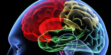 Este descubrimiento podría ayudar al desarrollo de nuevos fármacos contra el alzhéimer