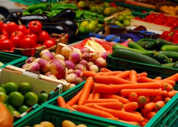 Este es el superávit que registró México en la balanza comercial agroalimentaria del primer semestre