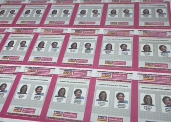 A partir de las 10 de la noche del domingo 3 de septiembre se comunicarían los resultados: Alejandra Latapi