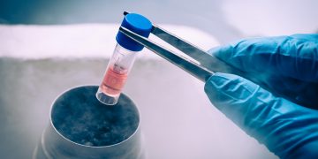 Descubren clave para combatir el cáncer infantil