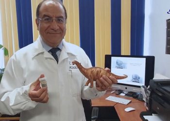 Cascarón de dinosaurio: Una prueba de que no se extinguieron