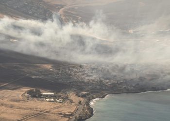 Más de 50 muertos deja incendio forestal en Hawái