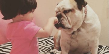 Murió Fiona, la perrita de Eugenio Derbez