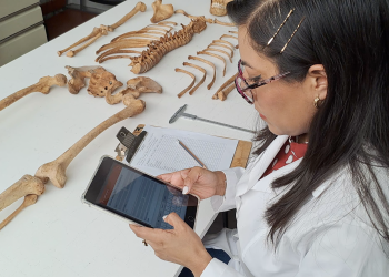 Universitario desarrolla app que mejora el trabajo de forenses