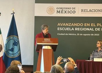 Esto dijo Alicia Bárcena sobre caso Carlos Aranda