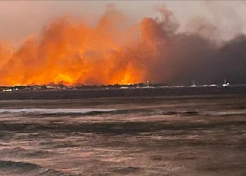 Dos mexicanos han muerto por los incendios en Maui