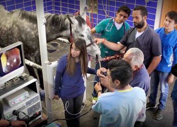 Conmemora UNAM 170 años de medicina veterinaria en México y América