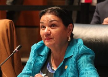 En este momento no es importante hacer un balance de la dirigencia del PRI sino culminar este proceso para lograr la coalición electoral: Sauri