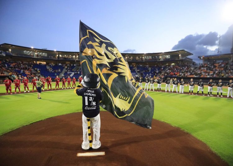 Foto: Twitter @tigresqroficial