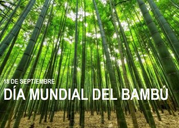 Día Mundial del Bambú