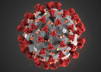 Estudio muestra que la inmunidad contra la COVID reduce los contagios a terceros