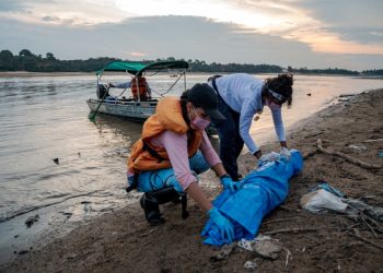 Aparecen más de 100 delfines muertos en un lago