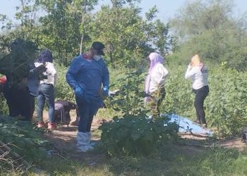 Localizan fosas clandestinas con restos de cinco personas en Sonora
