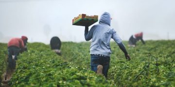 Trabajadores migrantes recibirán 6.5 MDD: Iván Ernesto Báez Martínez