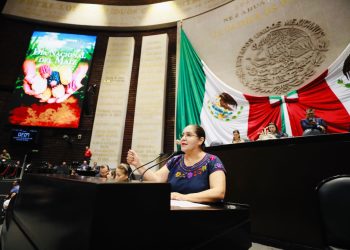 Fortalecer la seguridad alimentaria, compromiso en el Día Nacional del Maíz: Morena