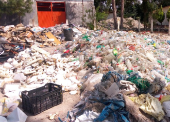 Tómala; Entra en vigor ley para multar a quien tire basura en las calles