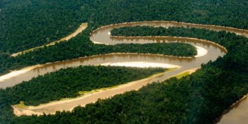¿Inteligencia Artificial para monitorear la biodiversidad de la Amazonía?