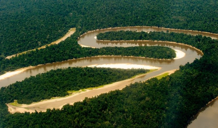 the Amazon river in Peru