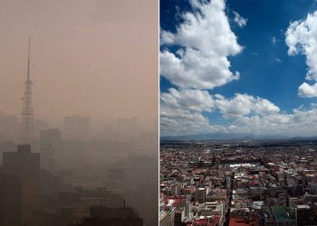 ¿En qué estamos pendientes con respecto a respirar un aire limpio? Una especialista nos cuenta