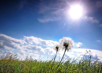 7 de septiembre: Día Internacional del Aire Limpio por un cielo azul