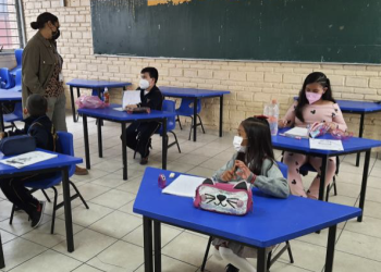 Se apostó por una estrategia antigua y no ha garantizado que los niños aprendan mejor: Experta