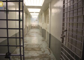 Fiestas patrias: este número de personas fueron remitidas al “Torito”