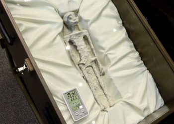 Esto dijo la UNAM ante afirmaciones de Maussan sobre presuntos cuerpos extraterrestres