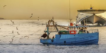 Greenpeace advierte del avance de la sobrepesca 