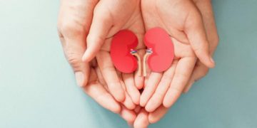 ¿Sabes por qué los riñones femeninos son más resistentes? Esto dice un estudio