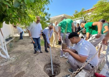 SEP y alumnos plantan más de 22 mil árboles
